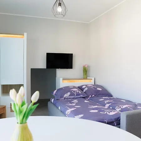 Dreamhouse „morski” Ul. Polnocna 18 B, Wschodnie *